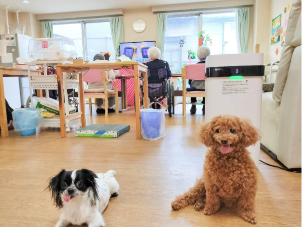 Máy lọc không khí Airdog: giúp loại bỏ tới 99,02% virus SARS-CoV-2 trong không khí - Ảnh 2.