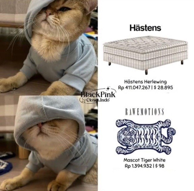 Cô gái giữ trái tim thái tử đế chế LVMH: Sống trong biệt thự 142 tỷ, đi ngủ và thức dậy trên chiếc giường 700 triệu đồng- Ảnh 13.