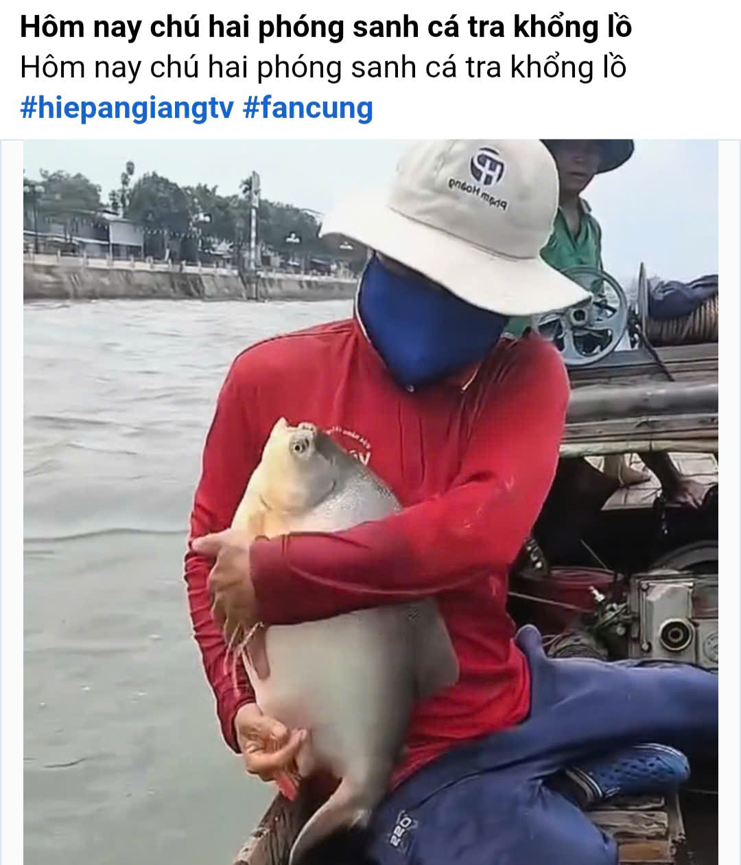 Cộng đồng mạng tranh luận "nảy lửa" vụ thả cá chim trắng phóng sinh - Ảnh 1.