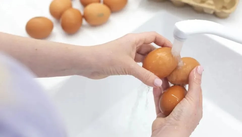 5 thứ càng rửa càng bẩn, dẫn lối vi khuẩn ngấm vào sâu hơn- Ảnh 1.