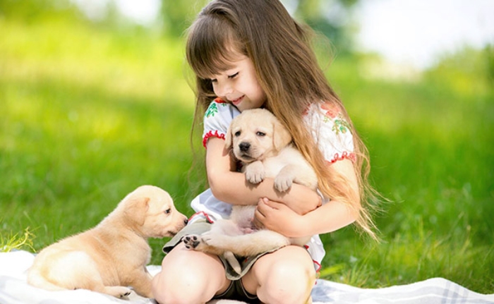 3 bí quyết nuôi dạy trẻ em có lòng nhân ái, điều cuối cùng khiến nhiều người bất ngờ- Ảnh 2.