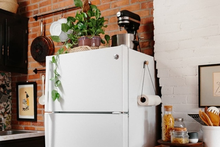 Hiểm họa trên nóc tủ lạnh: Đừng DẠI đặt 6 thứ này lên kẻo nhà cửa tan tành, tài lộc tiêu tán- Ảnh 2.