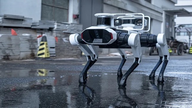 Robot chó 6 chân bảo tồn chùa gỗ cổ nhất, cao nhất thế giới- Ảnh 2.