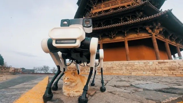 Robot chó 6 chân bảo tồn chùa gỗ cổ nhất, cao nhất thế giới- Ảnh 1.