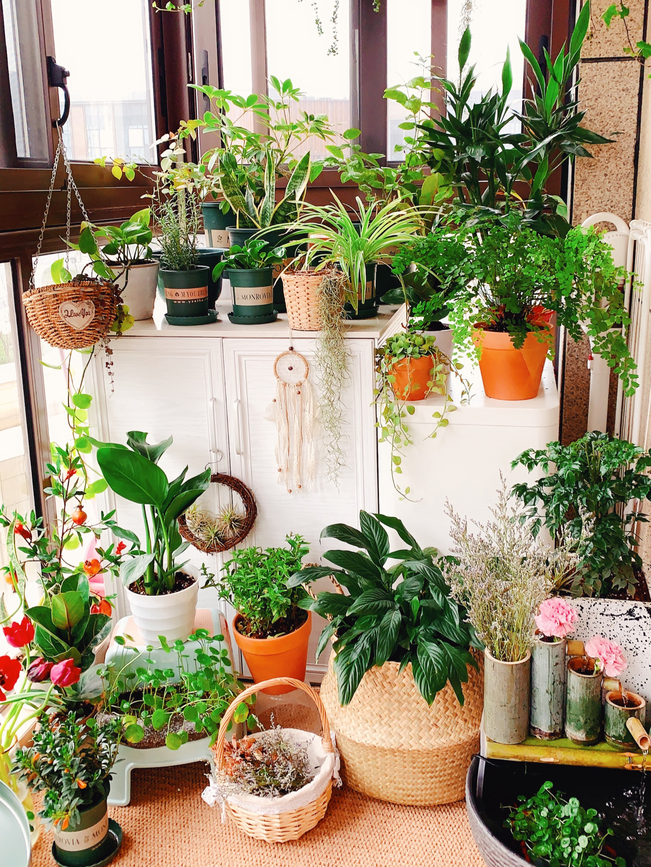 Từ ban công lụp xụp 3m² đến khu vườn xanh mát mắt: Biến hóa tuyệt vời khiến ai cũng ngỡ ngàng và ao ước- Ảnh 1. Từ ban công lụp xụp 3m² đến khu vườn xanh mát mắt: Biến hóa tuyệt vời khiến ai cũng ngỡ ngàng và ao ước- Ảnh 1.