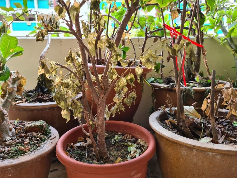 Vì sao ông bà dặn: 