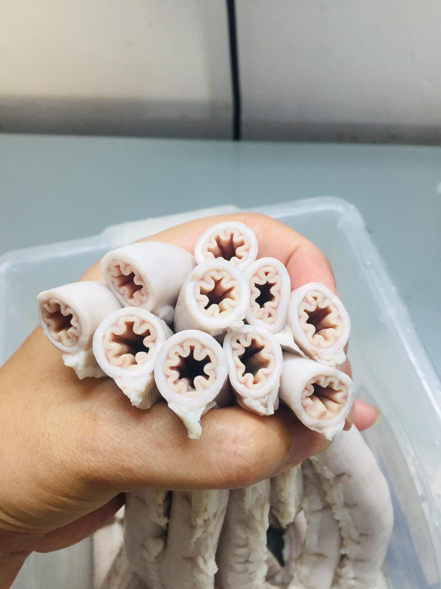 Chuyên gia bóc trần sự thật về "mỹ vị nhân gian" lòng se điếu: Làm nghề mổ lợn 30 năm cũng khó tìm, mua giá 2 triệu/kg vẫn đẫm mùi phóc môn- Ảnh 4.