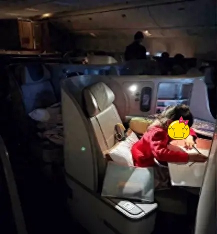 Cả cõi mạng ngơ ngác trước loạt hình ảnh được chụp trên máy bay của các em bé nhà giàu- Ảnh 3.