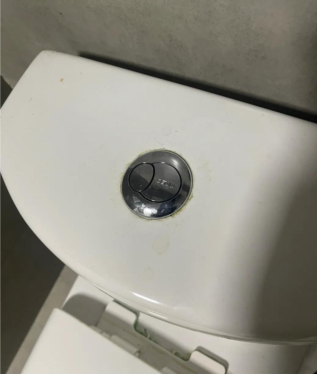 10 thứ bẩn kinh hoàng, tôi đau khổ nhận ra nhà mình có tất cả!- Ảnh 4.