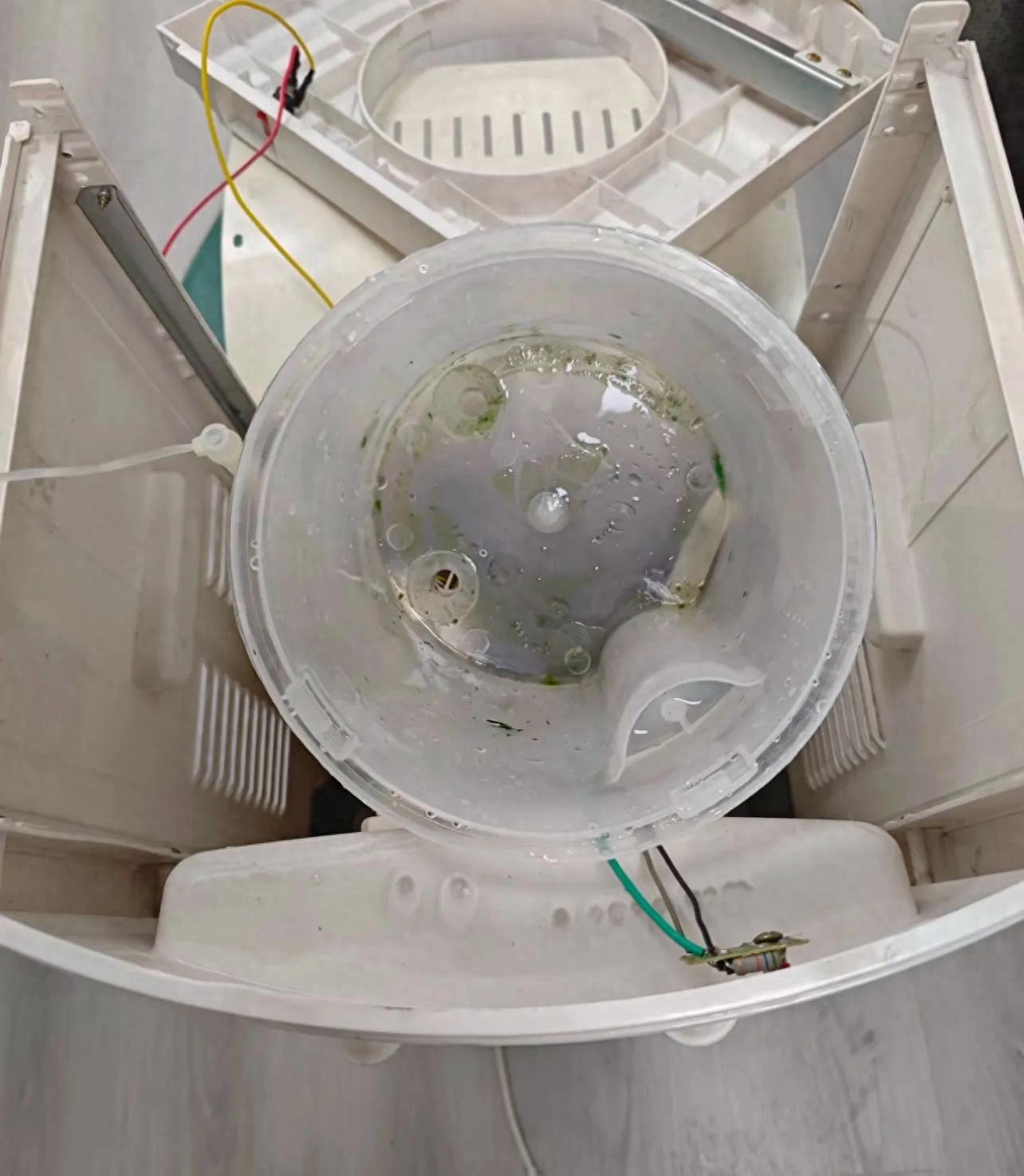 10 thứ bẩn kinh hoàng, tôi đau khổ nhận ra nhà mình có tất cả!- Ảnh 2.