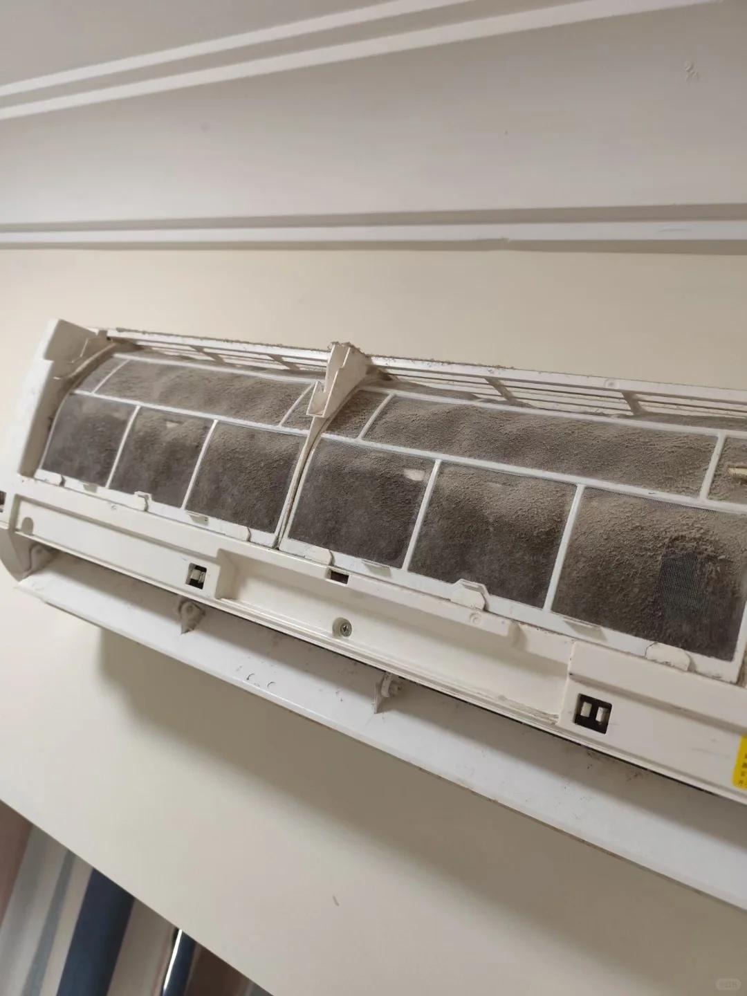 10 thứ bẩn kinh hoàng, tôi đau khổ nhận ra nhà mình có tất cả!- Ảnh 5.