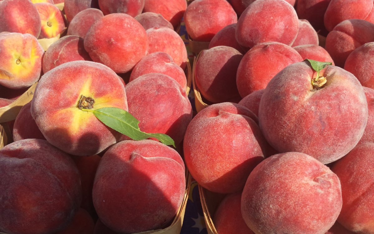 Top 9 trái cây dễ 