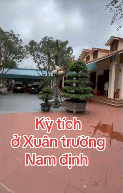 5 anh em chung sống hòa thuận trong 1 khu đất, xây 5 căn nhà giống hệt nhau ở Nam Định gây sốt MXH: Bí quyết nằm ở nhân vật đặc biệt này?- Ảnh 2. 5 anh em chung sống hòa thuận trong 1 khu đất, xây 5 căn nhà giống hệt nhau ở Nam Định gây sốt MXH: Bí quyết nằm ở nhân vật đặc biệt này?- Ảnh 2.