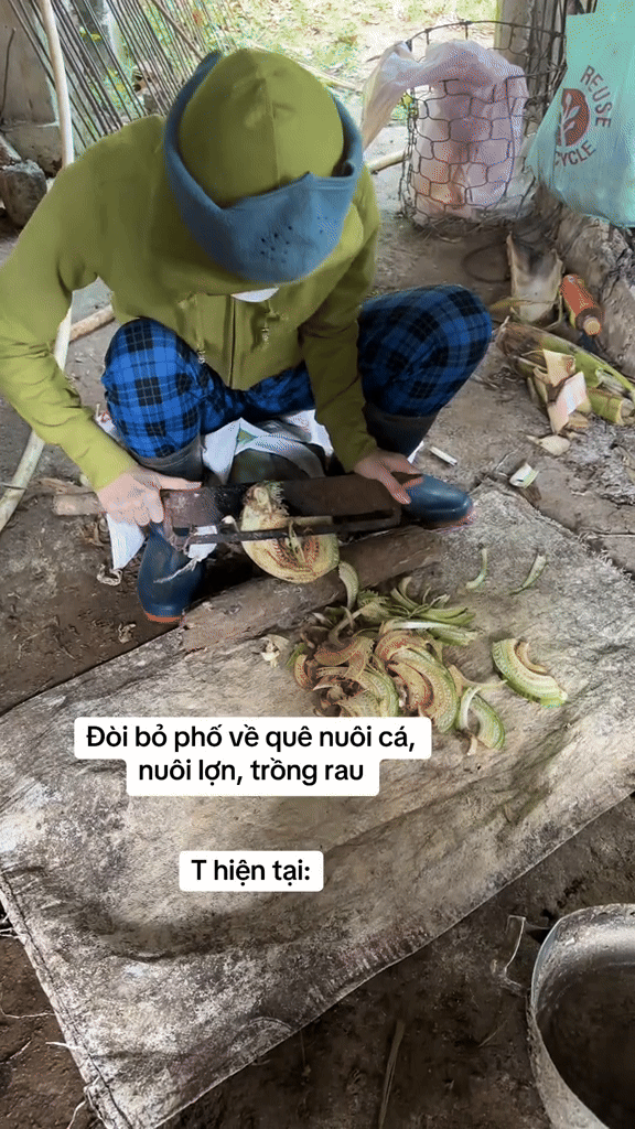 "Cuốc đất 5 phút thở không ra hơi, cày ruộng nửa ngày phải đi truyền nước": Ở phố mất job - ở quê mất sức- Ảnh 1.