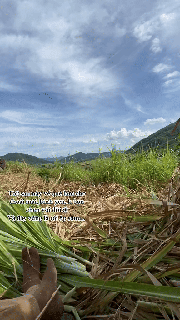 "Cuốc đất 5 phút thở không ra hơi, cày ruộng nửa ngày phải đi truyền nước": Ở phố mất job - ở quê mất sức- Ảnh 2.