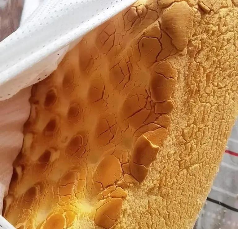 10 thứ bẩn kinh hoàng, tôi đau khổ nhận ra nhà mình có tất cả!- Ảnh 11.