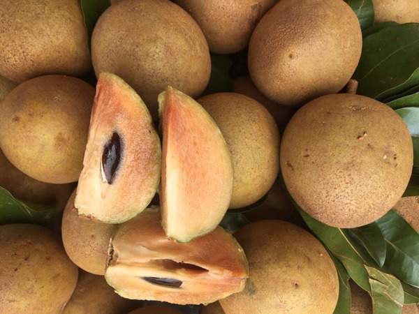 Top 9 trái cây dễ 