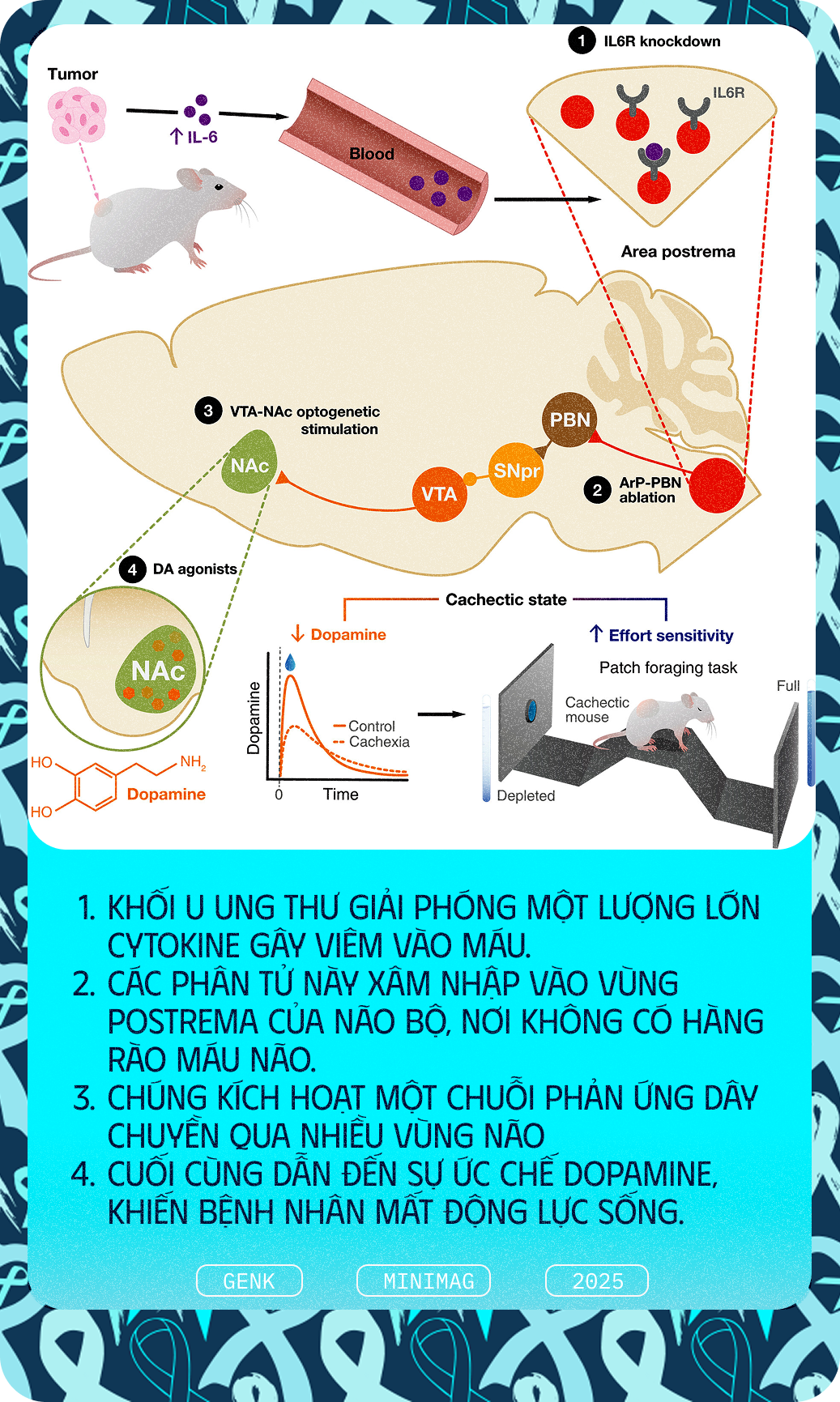 Các nhà khoa học tiêm thuốc chữa xương khớp cho chuột mắc ung thư giai đoạn cuối, chúng không khỏi ung thư, nhưng một điều kỳ diệu đã xảy ra- Ảnh 8.