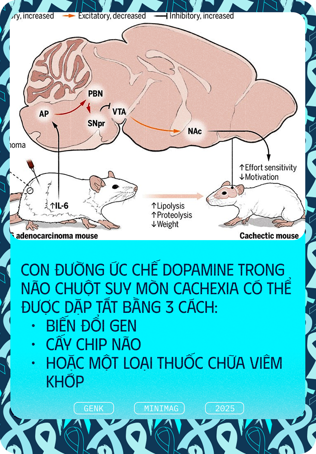 Các nhà khoa học tiêm thuốc chữa xương khớp cho chuột mắc ung thư giai đoạn cuối, chúng không khỏi ung thư, nhưng một điều kỳ diệu đã xảy ra- Ảnh 11.