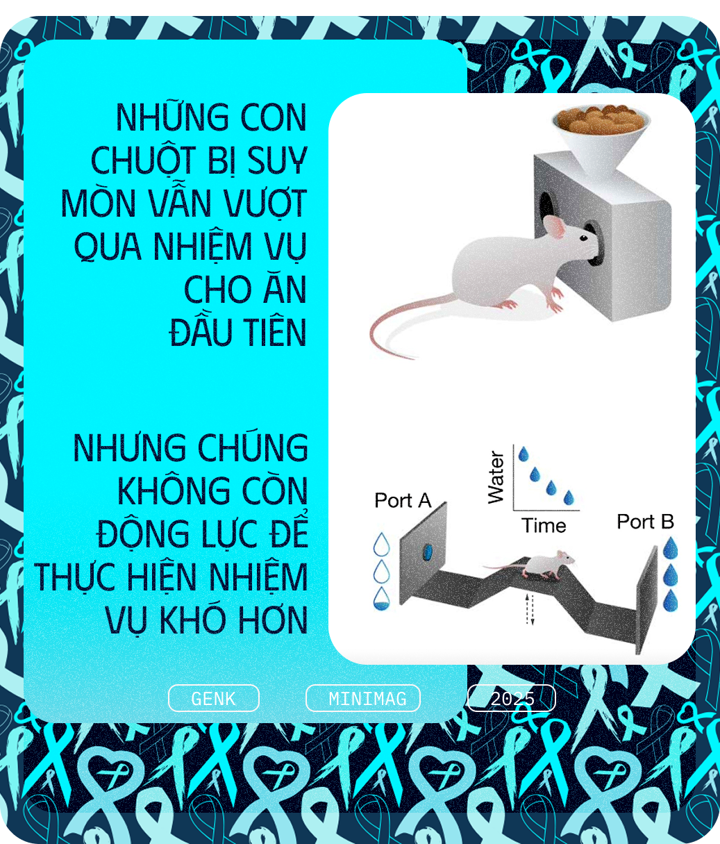Các nhà khoa học tiêm thuốc chữa xương khớp cho chuột mắc ung thư giai đoạn cuối, chúng không khỏi ung thư, nhưng một điều kỳ diệu đã xảy ra- Ảnh 9.