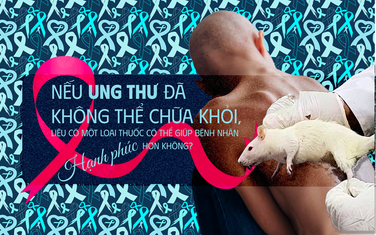 Các nhà khoa học tiêm thuốc chữa xương khớp cho chuột mắc ung thư giai đoạn cuối, chúng không khỏi ung thư, nhưng một điều kỳ diệu đã xảy ra- Ảnh 1.