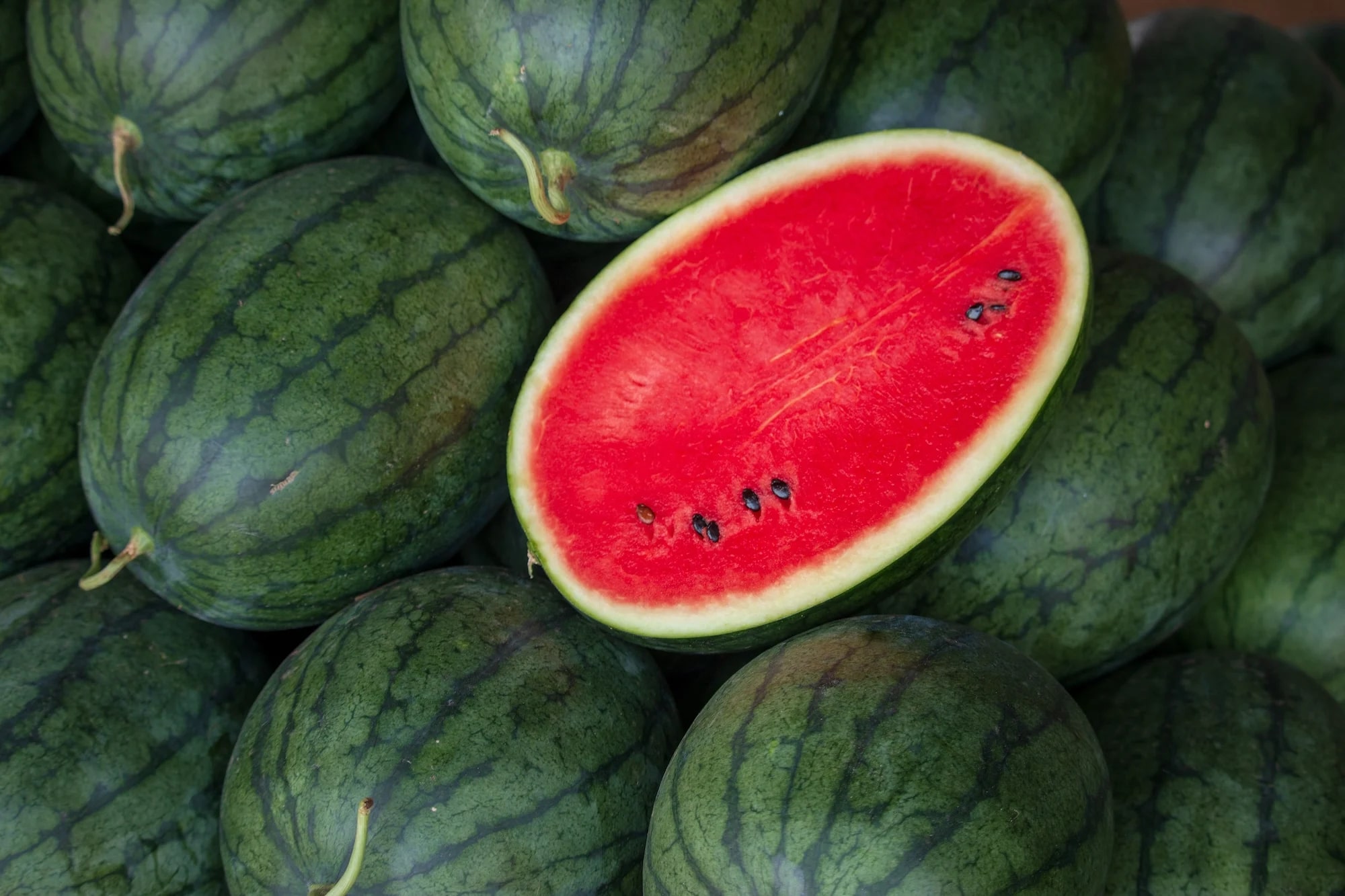 Top 9 trái cây dễ 