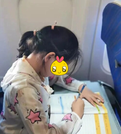 Cả cõi mạng ngơ ngác trước loạt hình ảnh được chụp trên máy bay của các em bé nhà giàu- Ảnh 2.