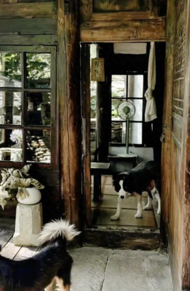 "Cuốc đất 5 phút thở không ra hơi, cày ruộng nửa ngày phải đi truyền nước": Ở phố mất job - ở quê mất sức- Ảnh 9.