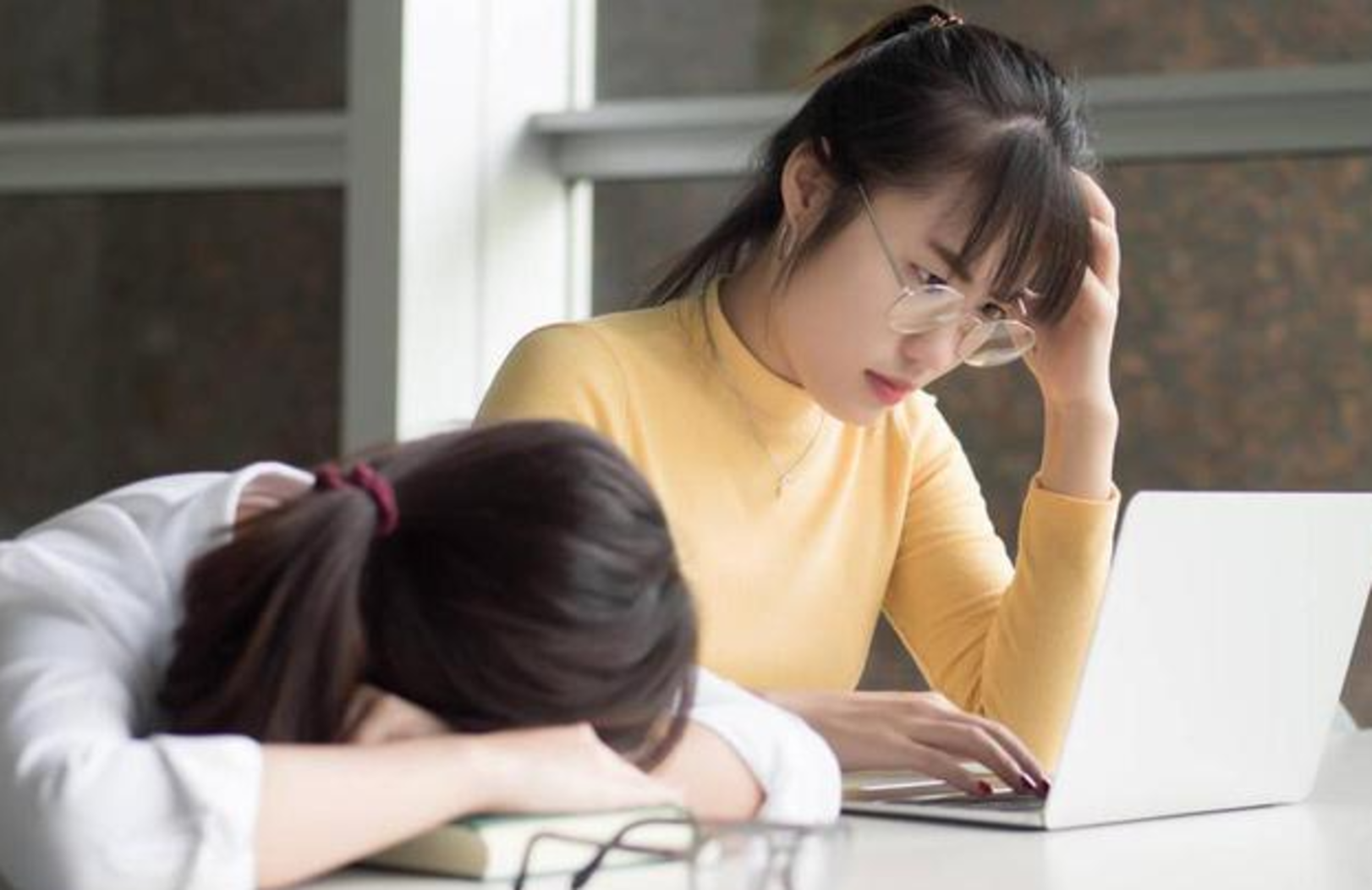 Vùi đầu học để lấy bằng giỏi, nhiều sinh viên vỡ mộng không xin được việc- Ảnh 1. Vùi đầu học để lấy bằng giỏi, nhiều sinh viên vỡ mộng không xin được việc- Ảnh 1.