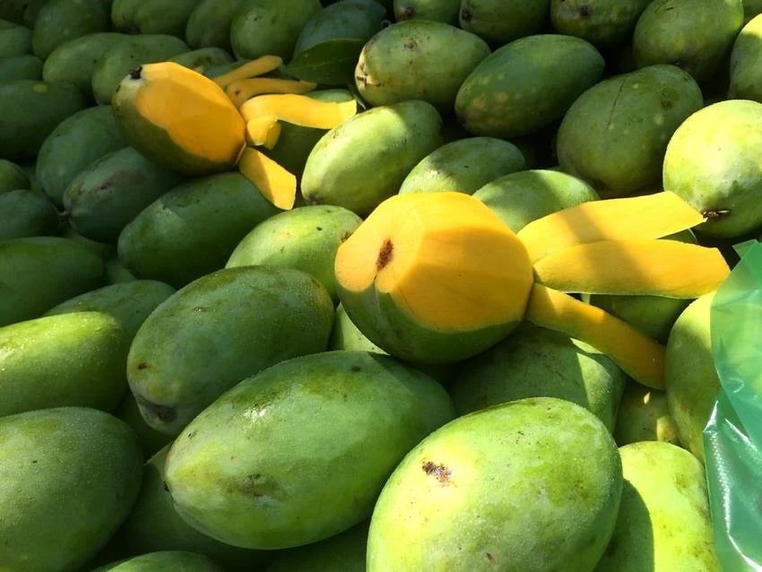 Top 9 trái cây dễ 