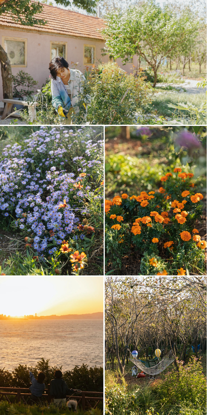 Người phụ nữ thuê 18.000 m2 đất để nghỉ hưu trên một hòn đảo, chi 180 triệu đồng/năm “mua” bình yên- Ảnh 9.