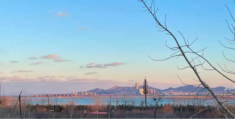 Người phụ nữ thuê 18.000 m2 đất để nghỉ hưu trên một hòn đảo, chi 180 triệu đồng/năm “mua” bình yên- Ảnh 2.