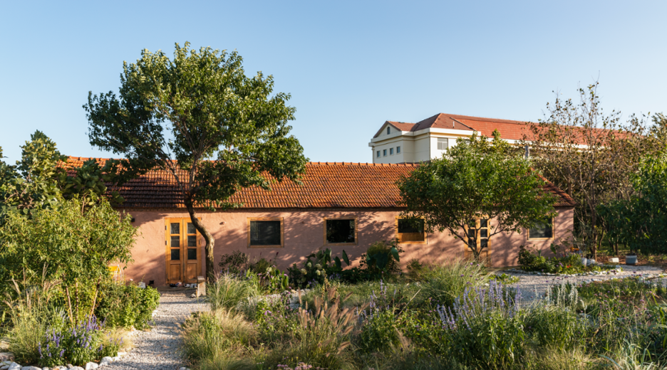 Người phụ nữ thuê 18.000 m2 đất để nghỉ hưu trên một hòn đảo, chi 180 triệu đồng/năm “mua” bình yên- Ảnh 1.