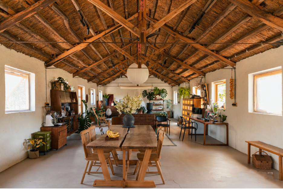 Người phụ nữ thuê 18.000 m2 đất để nghỉ hưu trên một hòn đảo, chi 180 triệu đồng/năm “mua” bình yên- Ảnh 3.