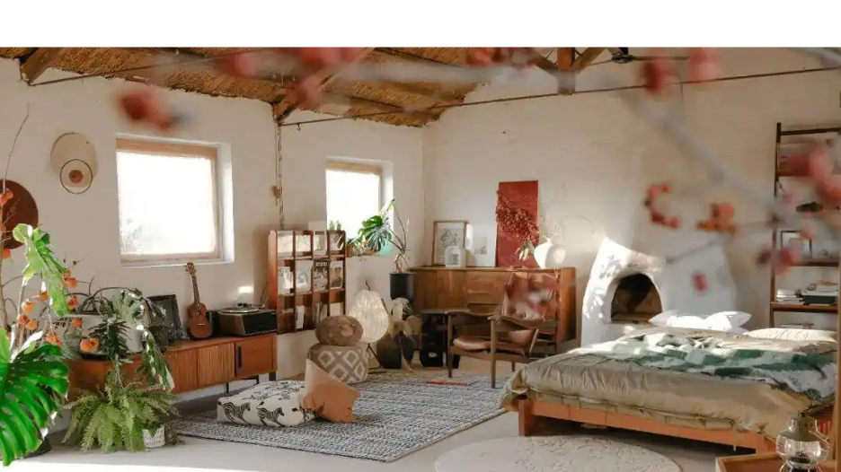 Người phụ nữ thuê 18.000 m2 đất để nghỉ hưu trên một hòn đảo, chi 180 triệu đồng/năm “mua” bình yên- Ảnh 4.