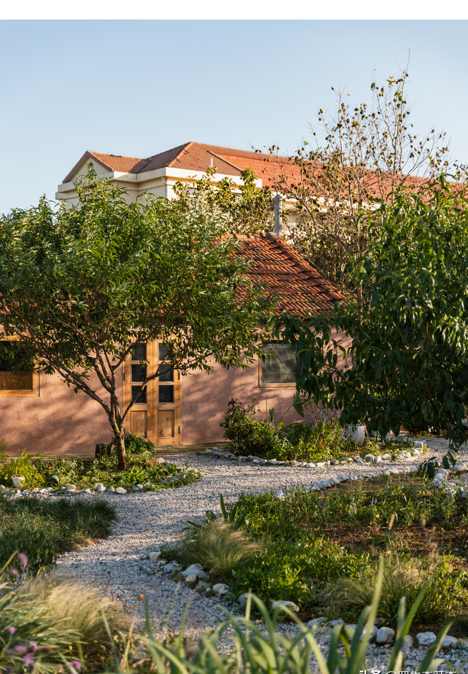 Người phụ nữ thuê 18.000 m2 đất để nghỉ hưu trên một hòn đảo, chi 180 triệu đồng/năm “mua” bình yên- Ảnh 8.