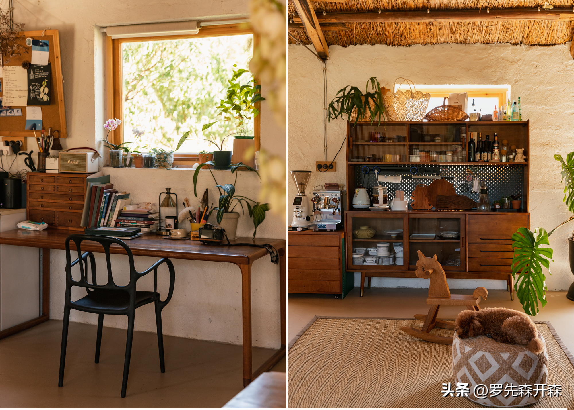 Người phụ nữ thuê 18.000 m2 đất để nghỉ hưu trên một hòn đảo, chi 180 triệu đồng/năm “mua” bình yên- Ảnh 10.