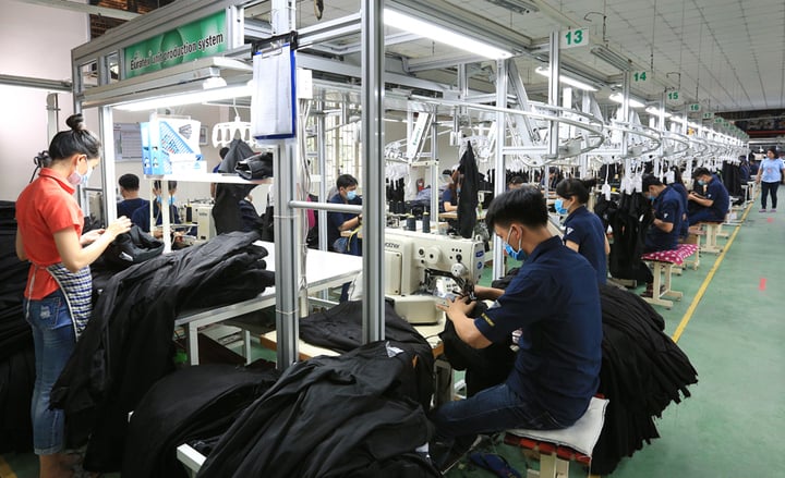 Chuyên gia hiến kế cho doanh nghiệp Việt bán hàng sang Mỹ- Ảnh 2. Chuyên gia hiến kế cho doanh nghiệp Việt bán hàng sang Mỹ- Ảnh 2.