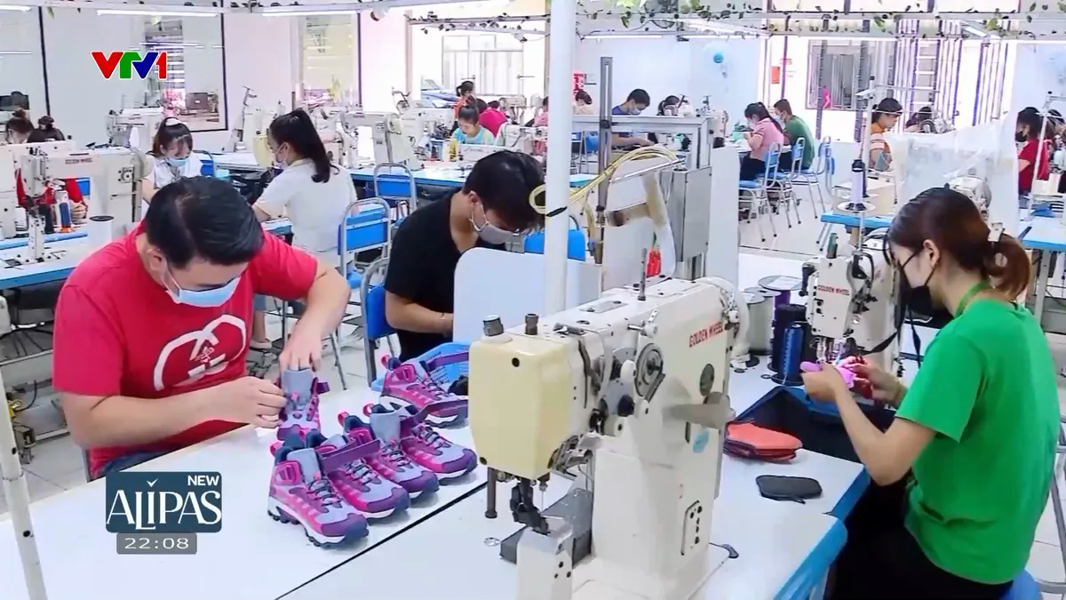 Dự thảo Luật Việc làm (sửa đổi): Hỗ trợ toàn diện cho người thất nghiệp- Ảnh 4. Dự thảo Luật Việc làm (sửa đổi): Hỗ trợ toàn diện cho người thất nghiệp- Ảnh 4.