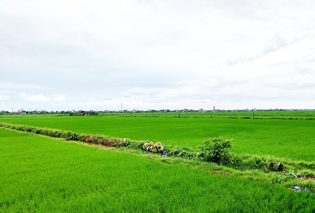 Người dân lưu ý một số điều kiện quan trọng sau đây khi muốn chuyển nhượng đất đai trong năm 2025- Ảnh 1. Người dân lưu ý một số điều kiện quan trọng sau đây khi muốn chuyển nhượng đất đai trong năm 2025- Ảnh 1.