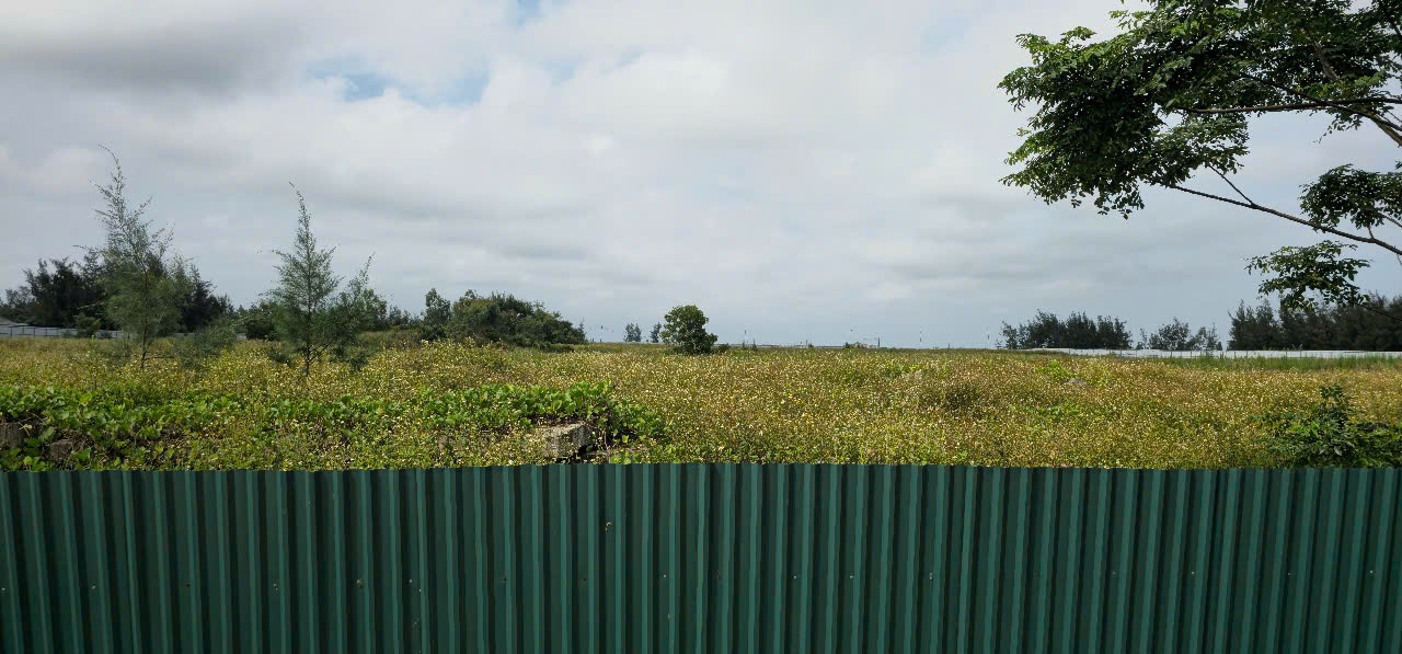 Dự án biệt thự nghĩ dưỡng hơn 240 tỉ đồng bên bờ biển sau 8 năm vẫn “án binh bất động” - Ảnh 9.