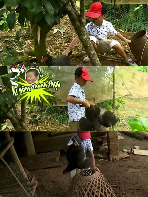 "Quý tử nhà giàu" chịu lội bùn, bắt vịt, rửa bát trong "Bố ơi, mình đi đâu thế?" nay thành "soái ca" sống tự lập ở trời Tây- Ảnh 5.