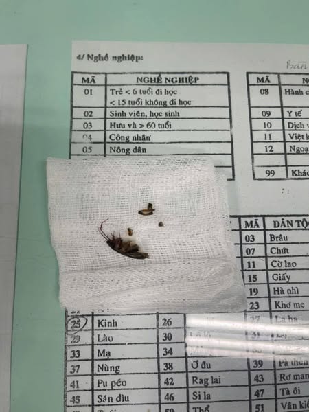 Bác sĩ NGHIÊM TÚC cảnh báo: Sở thích "ngủ đất cho mát" của nhiều gia đình Việt có thể khiến con trẻ mang thương tật vĩnh viễn- Ảnh 1. Bác sĩ NGHIÊM TÚC cảnh báo: Sở thích "ngủ đất cho mát" của nhiều gia đình Việt có thể khiến con trẻ mang thương tật vĩnh viễn- Ảnh 1.
