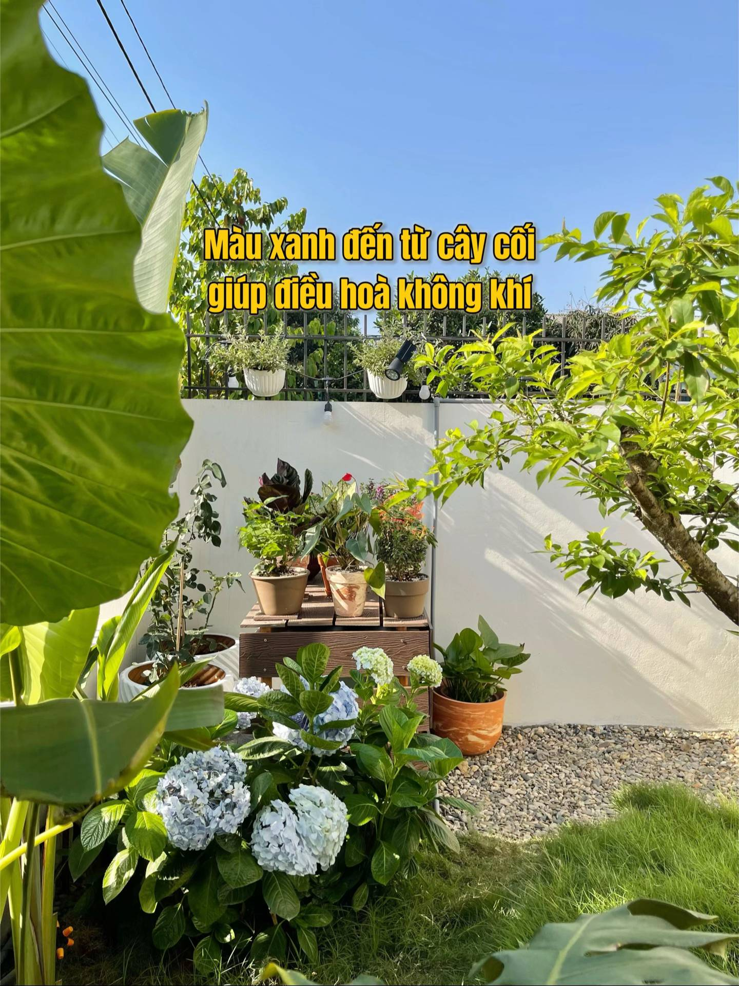 Cặp vợ chồng trẻ xây nhà hướng Tây vẫn mát mẻ nhờ 1 chiêu đơn giản, tổ ấm rộng 300m2 đẹp như resort nghỉ dưỡng lại xuất phát từ một bản mẫu free trên mạng- Ảnh 10. Cặp vợ chồng trẻ xây nhà hướng Tây vẫn mát mẻ nhờ 1 chiêu đơn giản, tổ ấm rộng 300m2 đẹp như resort nghỉ dưỡng lại xuất phát từ một bản mẫu free trên mạng- Ảnh 10.