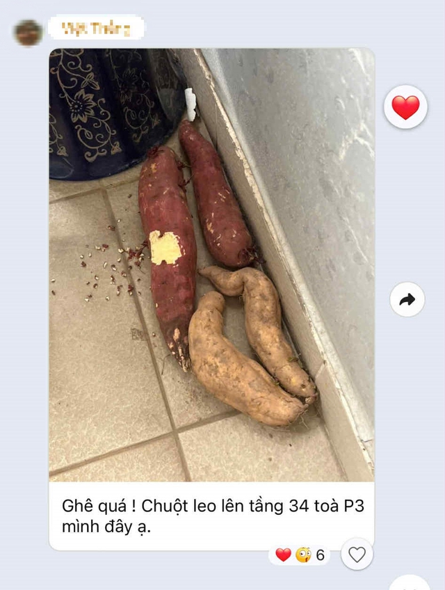 Mua nhà chung cư tầng cao nhưng vẫn phải than trời vì 'vấn nạn' như ở tầng thấp: Lý do vì đâu? 2 Mua nhà chung cư tầng cao nhưng vẫn phải than trời vì 'vấn nạn' như ở tầng thấp: Lý do vì đâu?