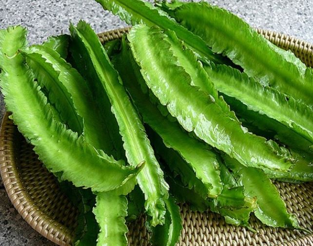 Thứ từng là thức ăn cho lợn bỗng hóa "vàng xanh", giá 1 triệu/kg vẫn "cháy hàng"- Ảnh 2.