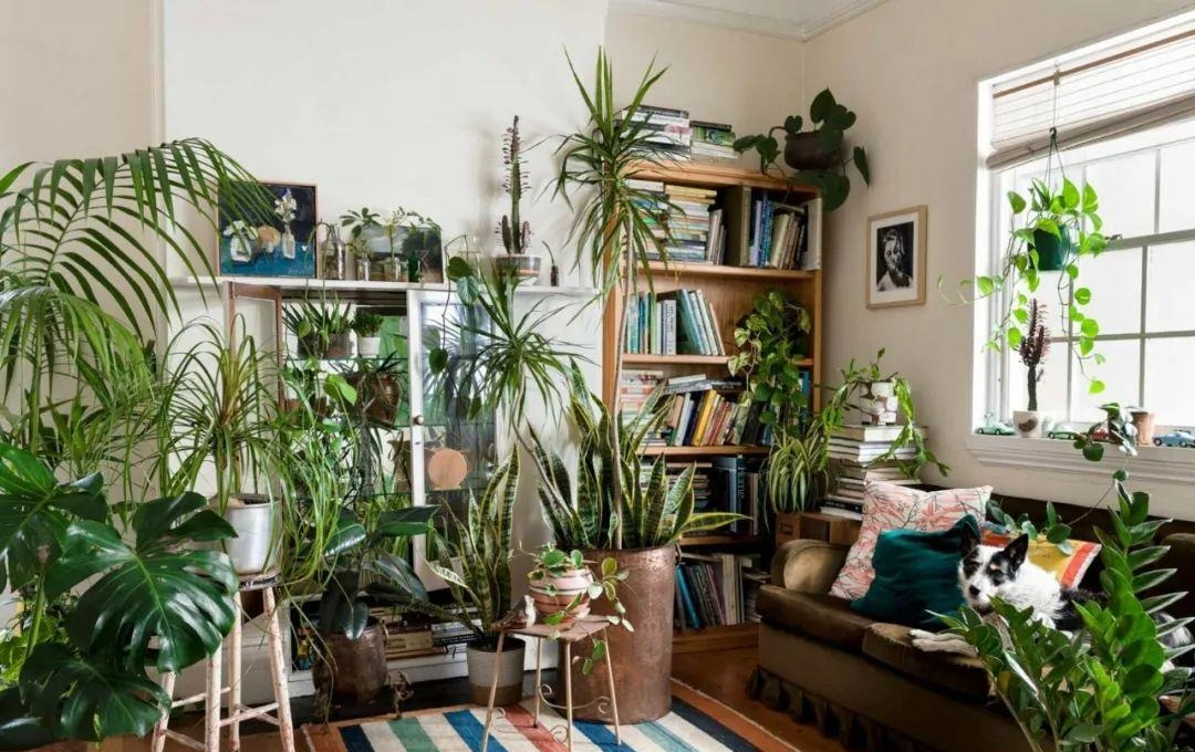 6 "đại kỵ" trong phòng ngủ khiến tài lộc tiêu tan, sức khỏe giảm sút nghiêm trọng - Ảnh 6.