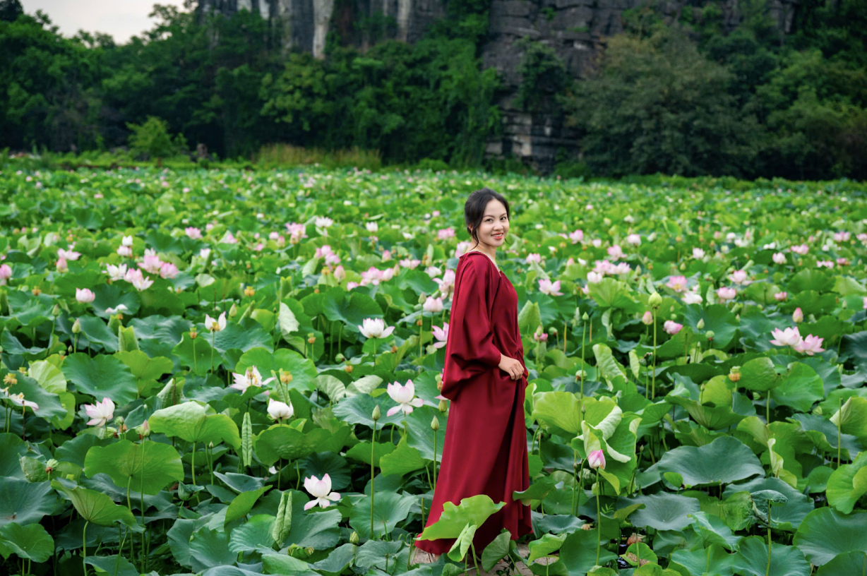 Hoa sen ở Hang Múa vào mùa đẹp nhất trong năm- Ảnh 1.