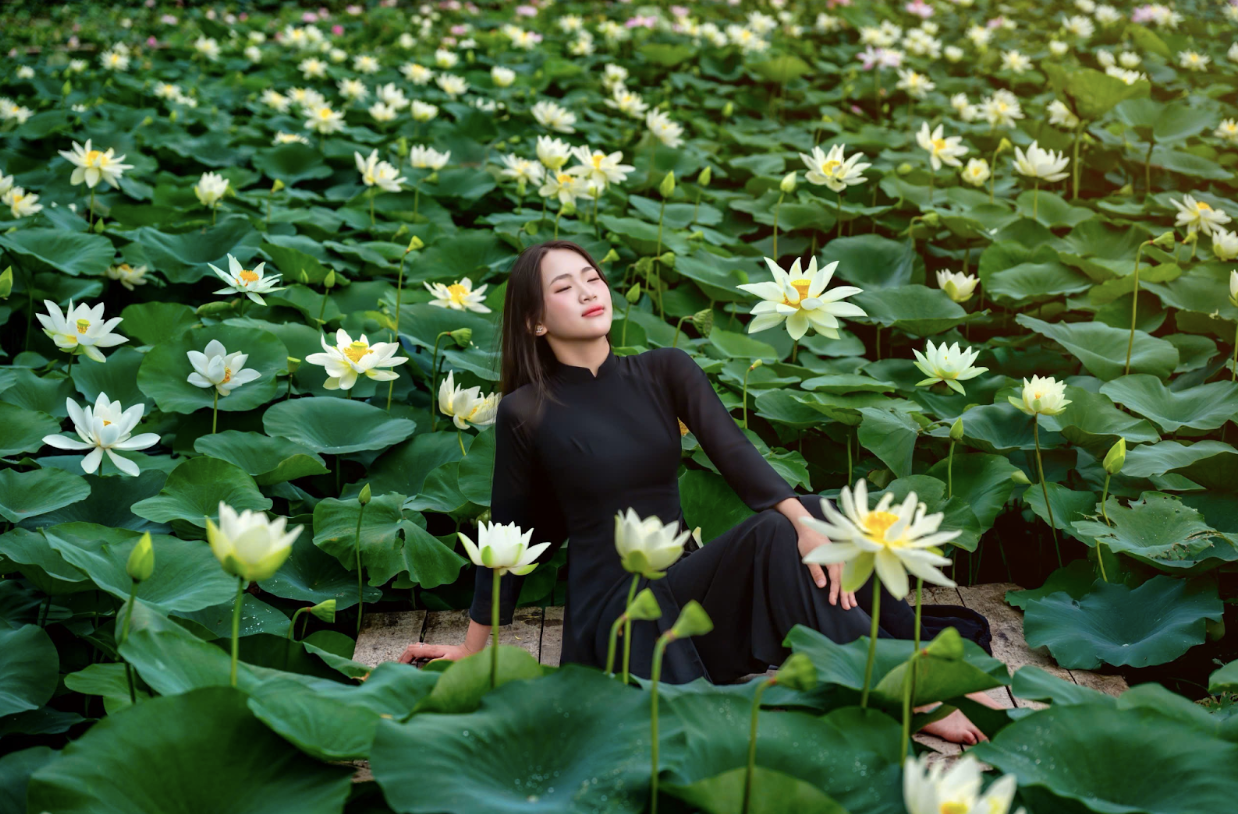 Hoa sen ở Hang Múa vào mùa đẹp nhất trong năm- Ảnh 4.