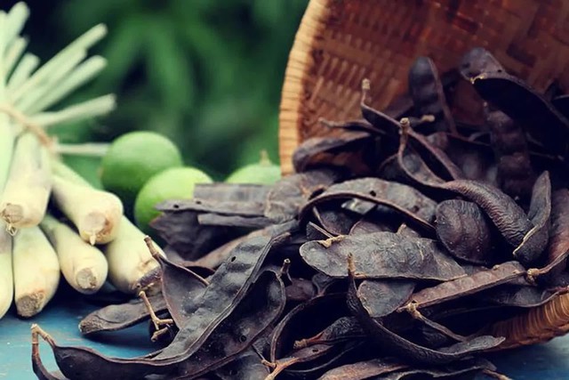 Loại quả mọc dại ở Việt Nam có giá 2,1 triệu đồng/kg ở Trung Quốc: Dùng để tắm, ngâm chân cực tốt- Ảnh 4.